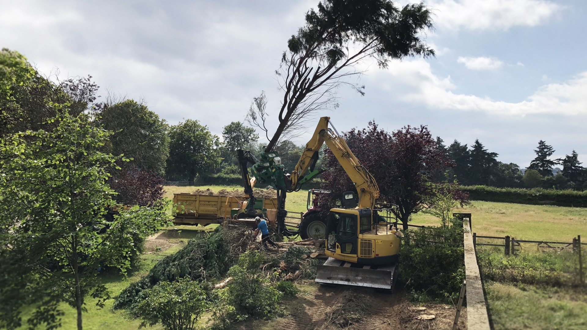 Commercial Tree Surgery Joe Court Forestry