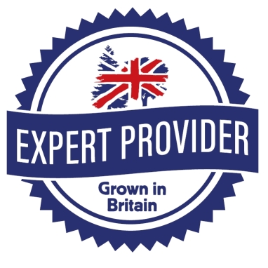 Thoughts From The Wood - January: Becoming an Expert Provider